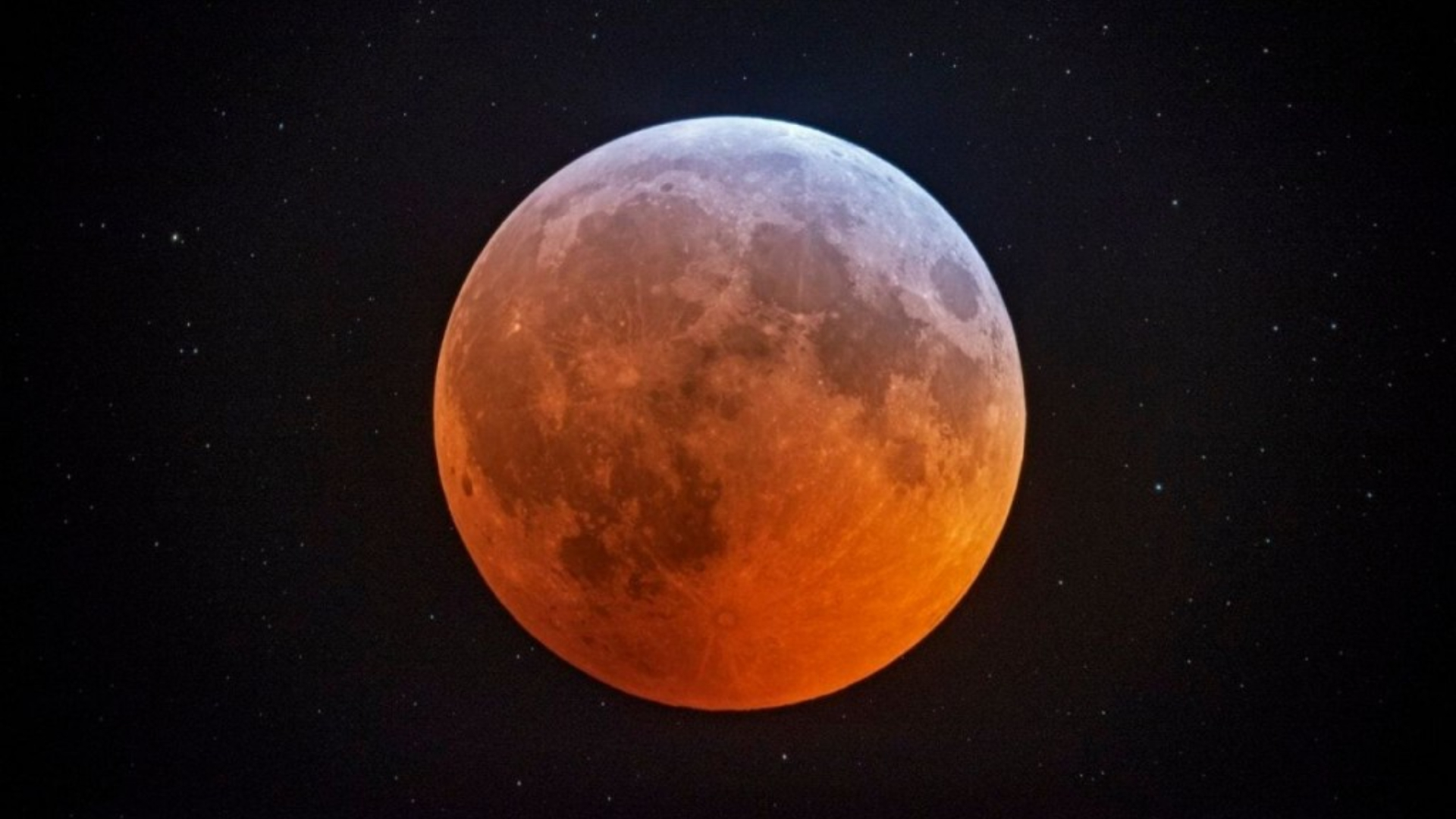 eclipse lunar del 19 de noviembre